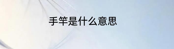 手竿是什么意思