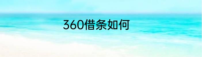 360借条如何