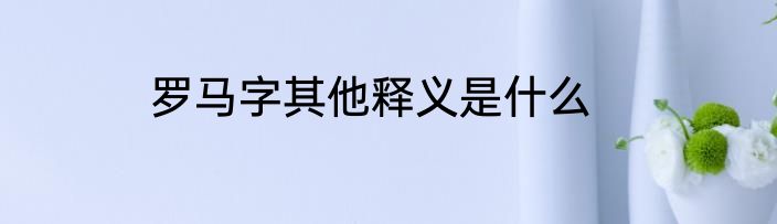罗马字其他释义是什么