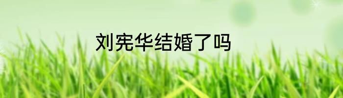 刘宪华结婚了吗