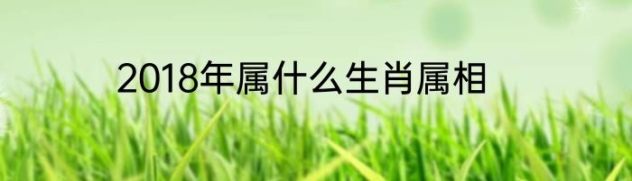 2018年属什么生肖属相