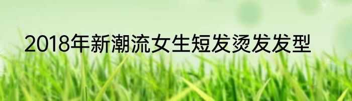 2018年新潮流女生短发烫发发型