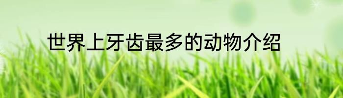 世界上牙齿最多的动物介绍