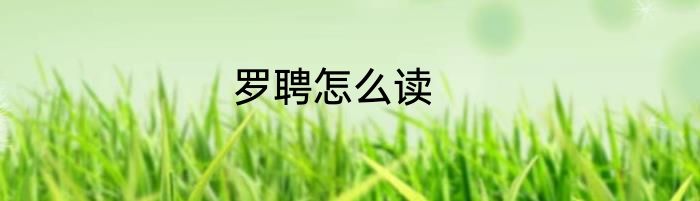 罗聘怎么读