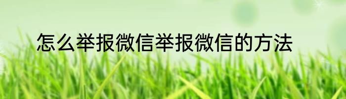怎么举报微信举报微信的方法