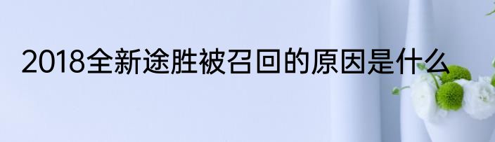 2018全新途胜被召回的原因是什么