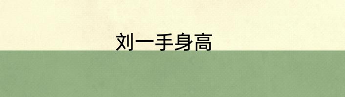 刘一手身高
