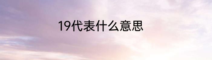 19代表什么意思