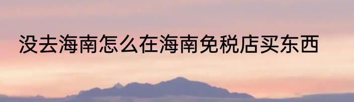 没去海南怎么在海南免税店买东西
