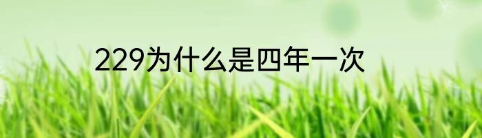 229为什么是四年一次