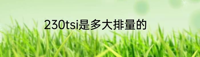 230tsi是多大排量的