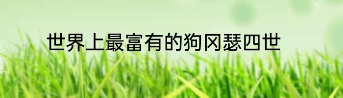 世界上最富有的狗冈瑟四世