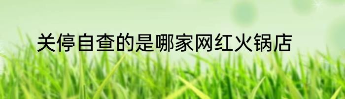 关停自查的是哪家网红火锅店