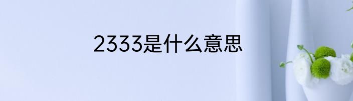 2333是什么意思