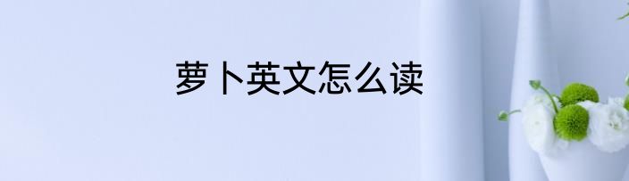 萝卜英文怎么读