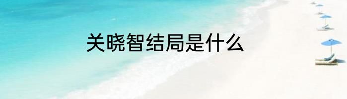 关晓智结局是什么