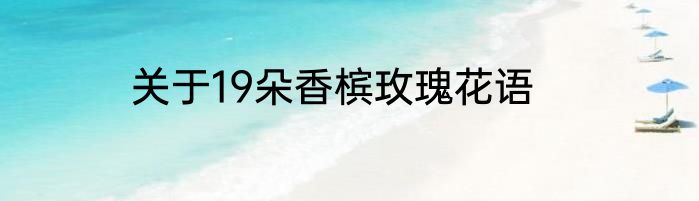 关于19朵香槟玫瑰花语