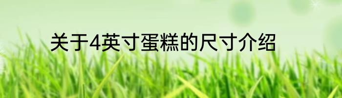 关于4英寸蛋糕的尺寸介绍