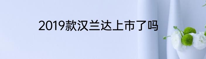 2019款汉兰达上市了吗