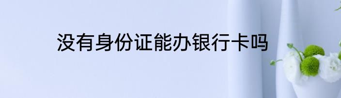 没有身份证能办银行卡吗