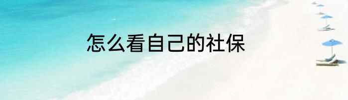 怎么看自己的社保