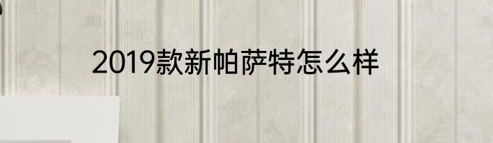 2019款新帕萨特怎么样