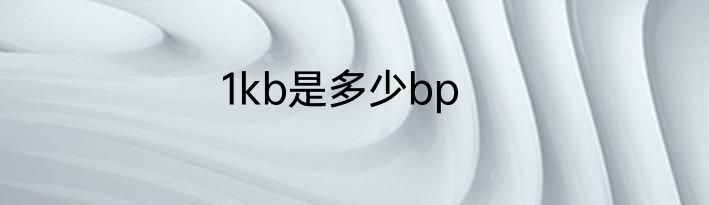 1kb是多少bp