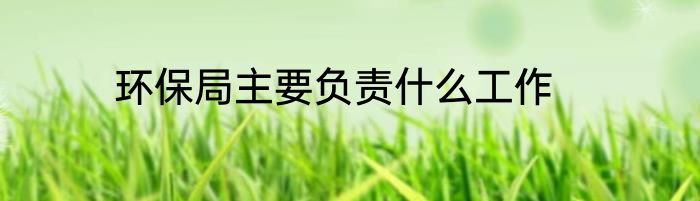环保局主要负责什么工作