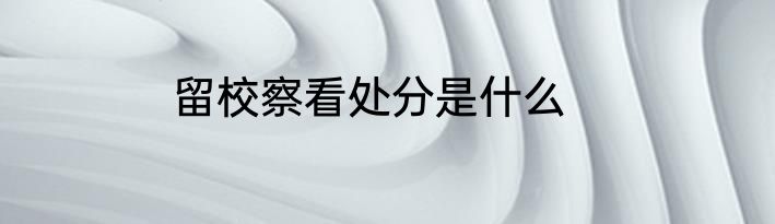 留校察看处分是什么