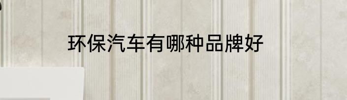 环保汽车有哪种品牌好