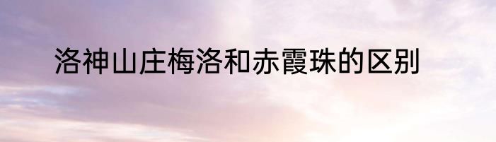洛神山庄梅洛和赤霞珠的区别