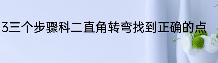 3三个步骤科二直角转弯找到正确的点