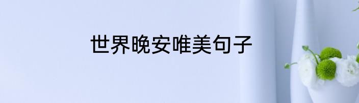 世界晚安唯美句子