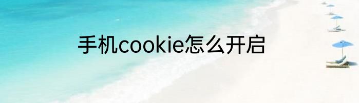 手机cookie怎么开启