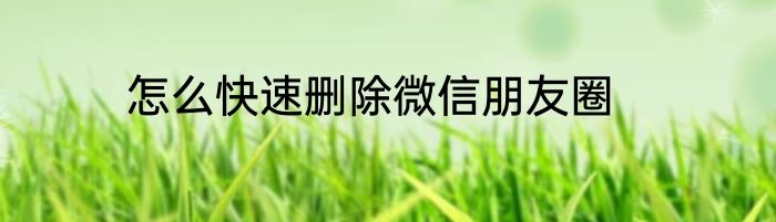 怎么快速删除微信朋友圈
