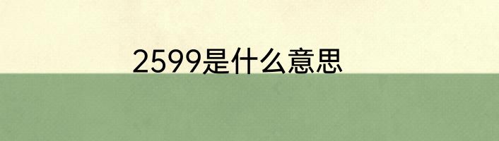 2599是什么意思