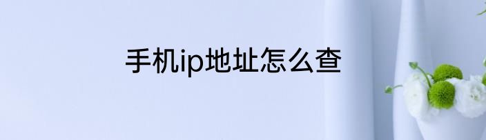 手机ip地址怎么查