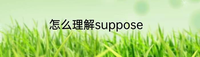 怎么理解suppose