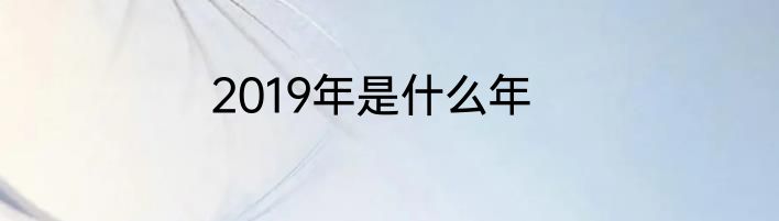 2019年是什么年