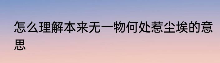 怎么理解本来无一物何处惹尘埃的意思