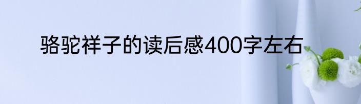 骆驼祥子的读后感400字左右
