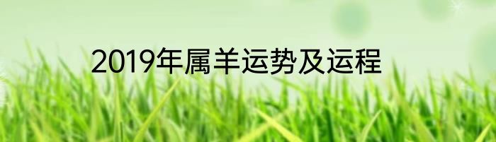 2019年属羊运势及运程