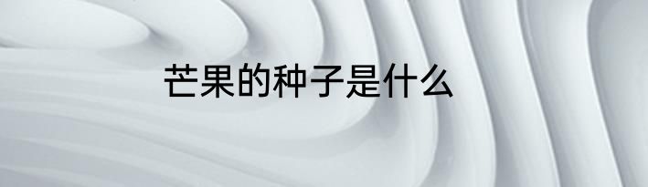 芒果的种子是什么