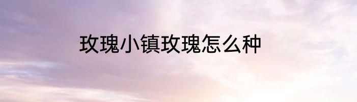 玫瑰小镇玫瑰怎么种