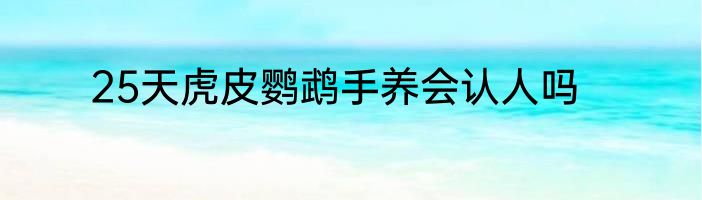 25天虎皮鹦鹉手养会认人吗