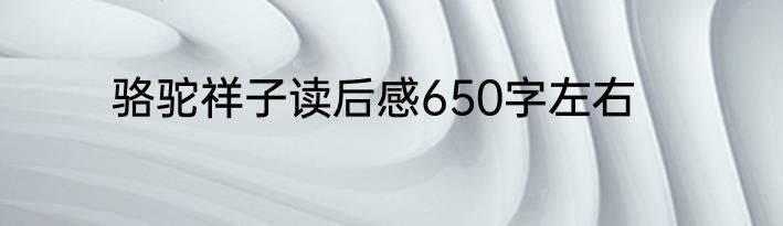 骆驼祥子读后感650字左右