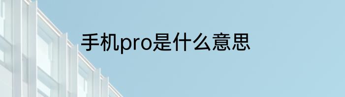 手机pro是什么意思