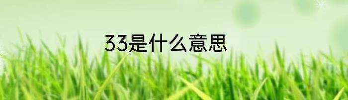 33是什么意思