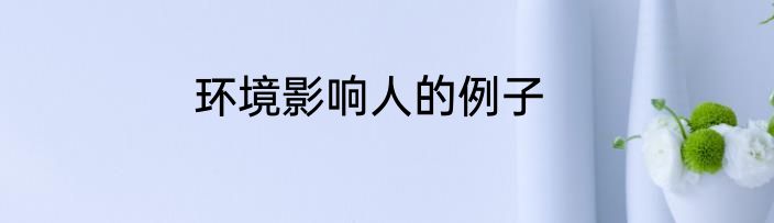 环境影响人的例子