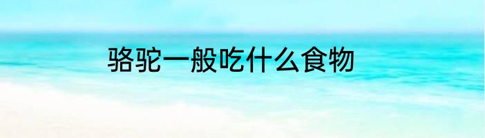 骆驼一般吃什么食物